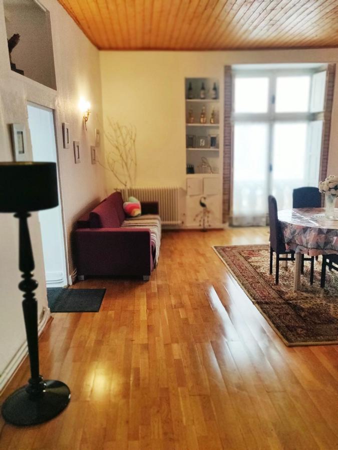 2 88m2 Extra Centre Historique Vaste Convivial Et Cosy Appartement *